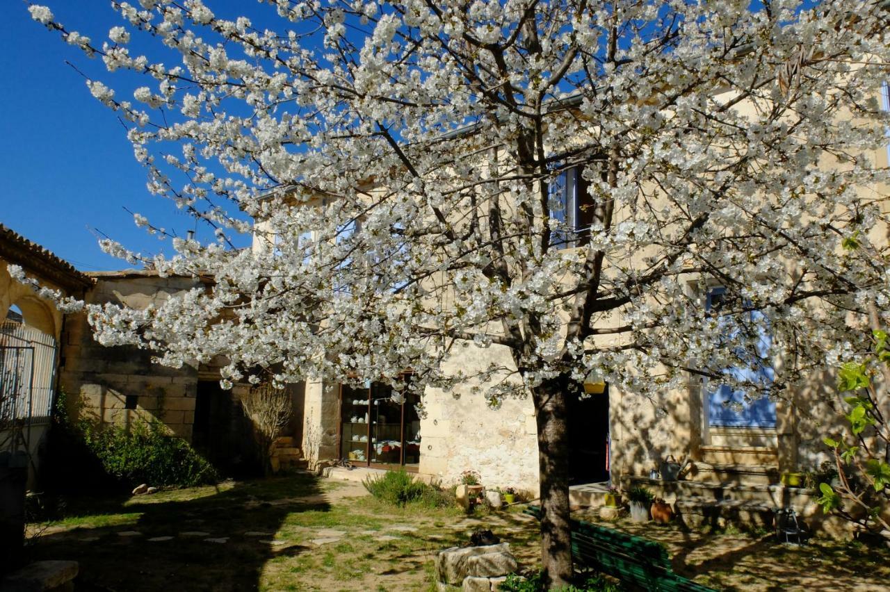 Chambres D'Hotes Dans Maison D'Artiste Galargues Екстериор снимка