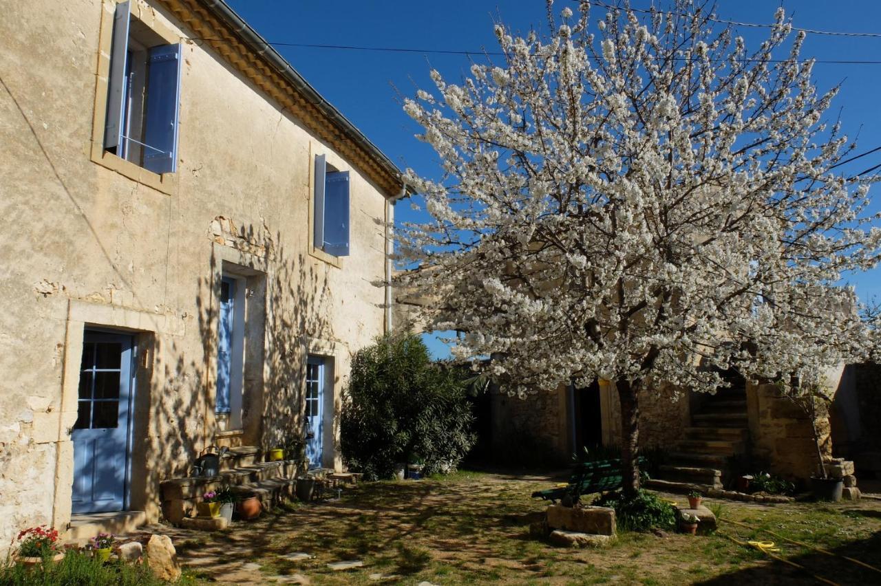 Chambres D'Hotes Dans Maison D'Artiste Galargues Екстериор снимка